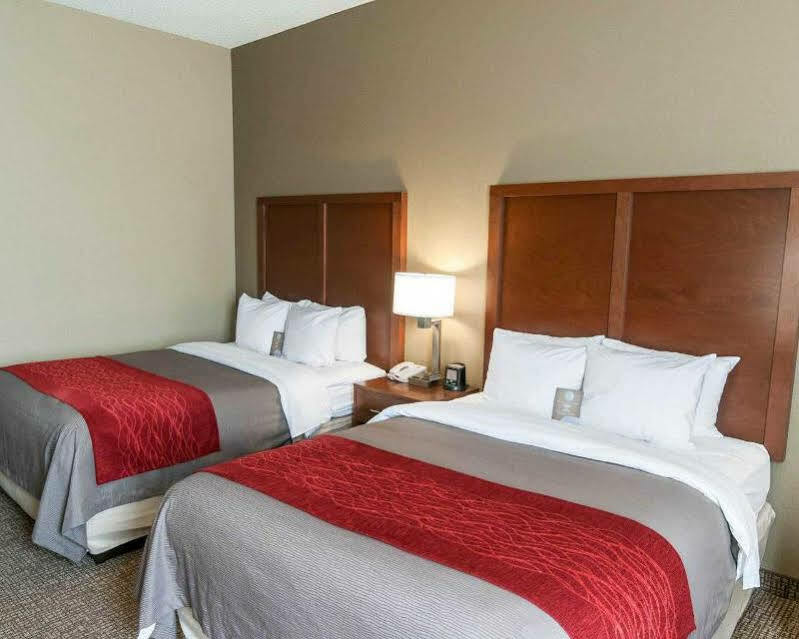לה גראנג' Comfort Inn & Suites מראה חיצוני תמונה